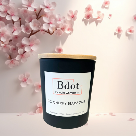 DC Cherry Blossoms image 1